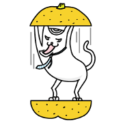 foolish cat masamune