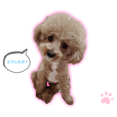 Ringo_20200512091948