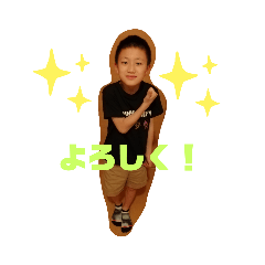 misa20081101@gmail.com