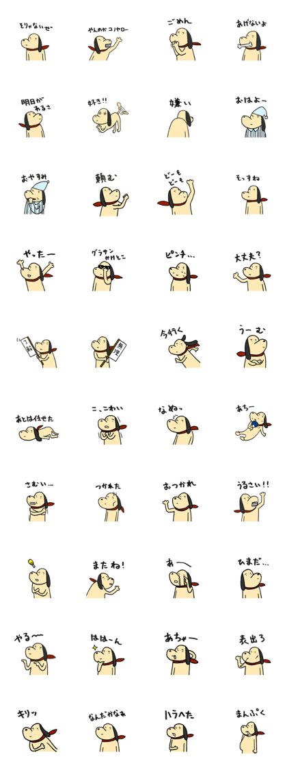 Daily lives of Mr.dog