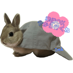 rina_20200512095419