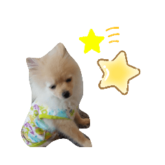 kazumi_20200512155540