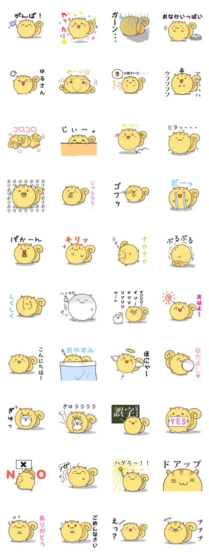 Round squirrel Round squirrel