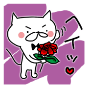 Jocular white cat "HEINEKO". Vol.1.