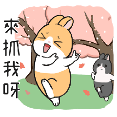 地瓜兔～旅行篇