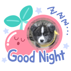 akiko_20200514212933