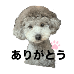 20030406haruho
