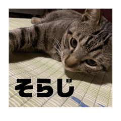 saya_20200512223536