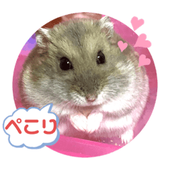 risa_20200512225539