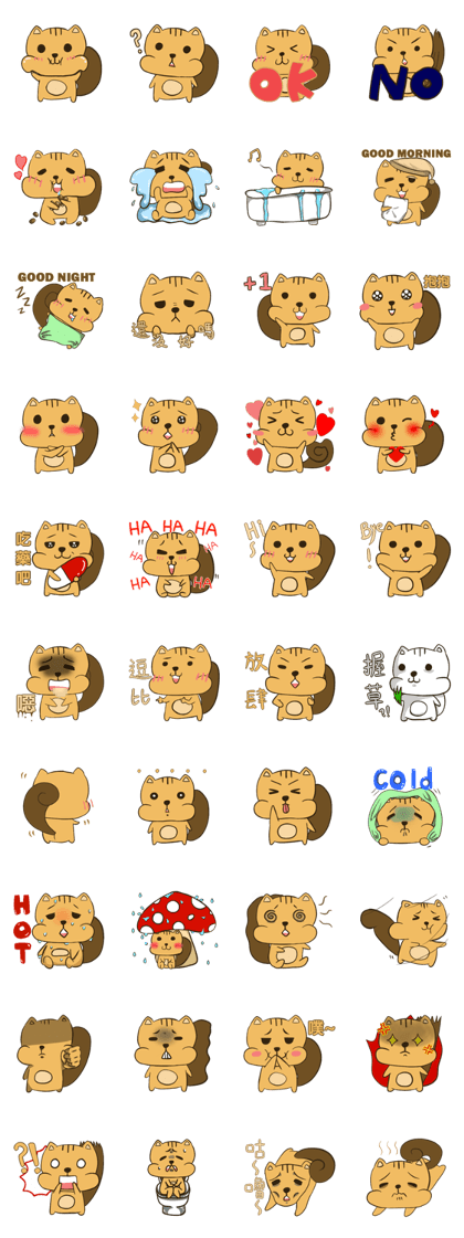 A squirrel named "Mou Tai"