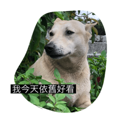 維禎和他的朋友們