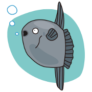 Fish market Fish Man Fish market Fish Man