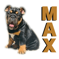 Max Sticker Set