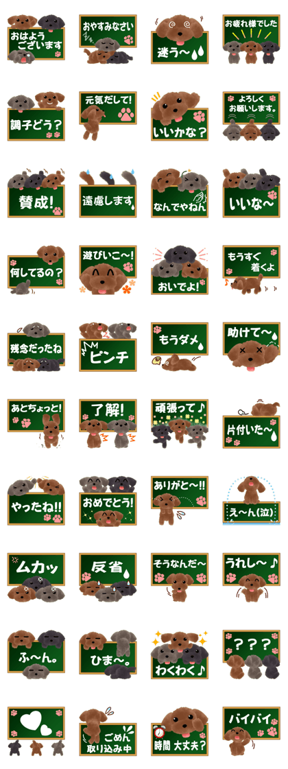 toy-poodle2 toy-poodle2