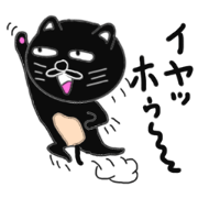 Various cat cat cats 3rd