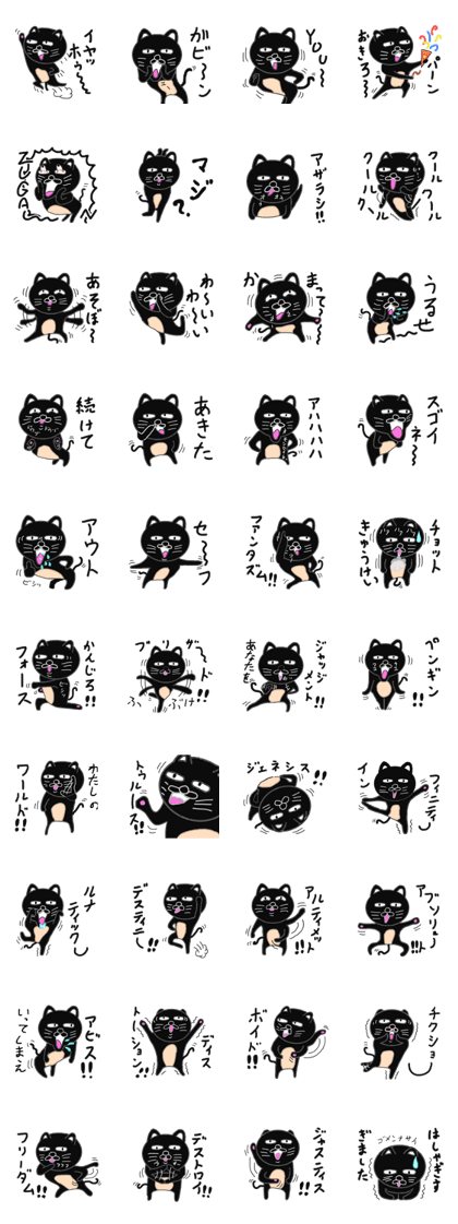 Various cat cat cats 3rd