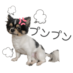 asuka_20200513104105