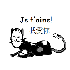 Taiwanese French Cat