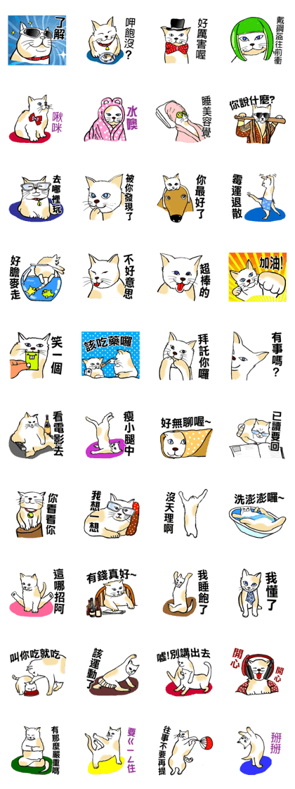Funny Cat Stickers