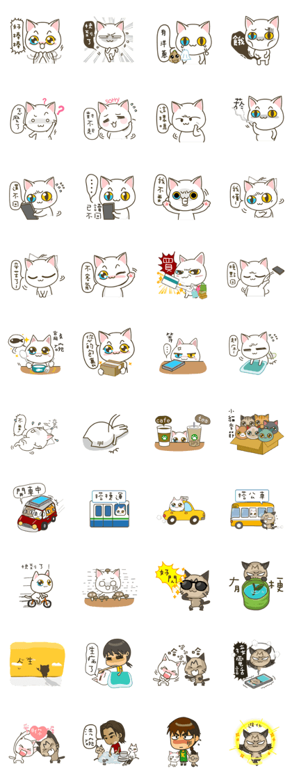 milktea Cat everyday life milktea Cat everyday life