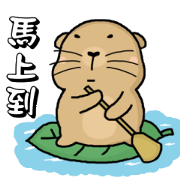 Hi,I am bubu. Hi,I am bubu.