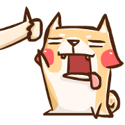 Dog and hand Dog and hand