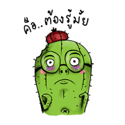 Cactus is Hippies Cactus is Hippies