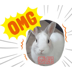 寵物的秘密基地