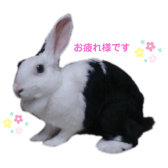 vivi_20200513073921