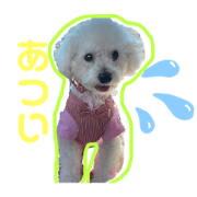 a-rin_20200513034109