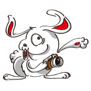 Pure Rabbit's easy life