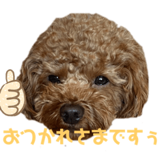 Ch_64
