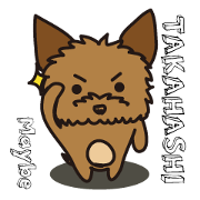 Maybe She is Takahashi