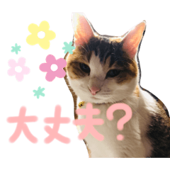 Azukisan stamp 2
