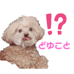 risa_20200513133022