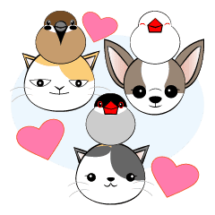 犬ネコ小鳥からの伝言 Line スタンプ Line Store