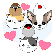 Message from dog cat bird Message from dog cat bird