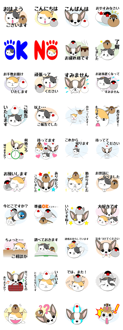 Message from dog cat bird Message from dog cat bird