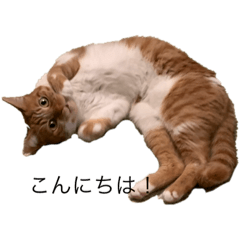 kurumi_202005131305122573249350656726729