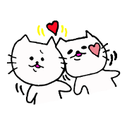 The interesting and cute cat 3