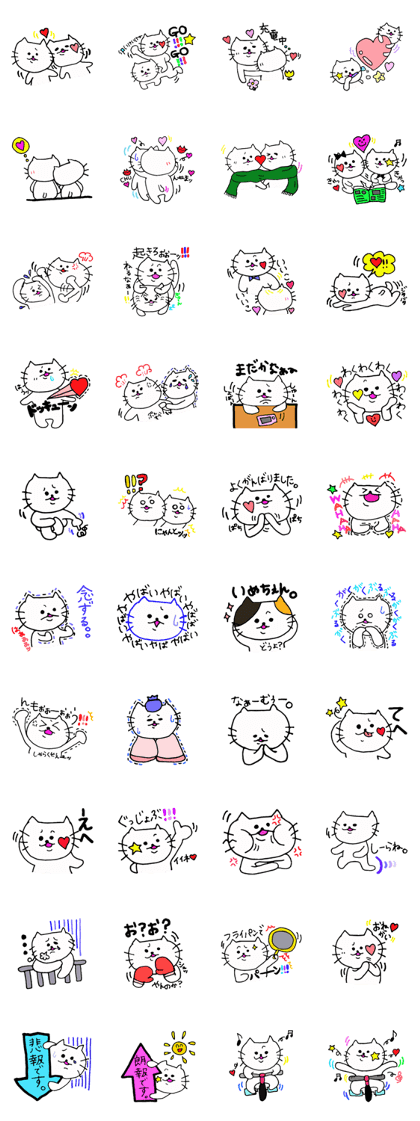 The interesting and cute cat 3