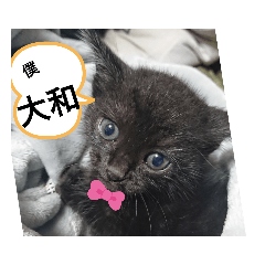 kurumi_20200513130757