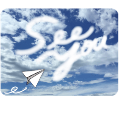 Sally goodbye in the sky