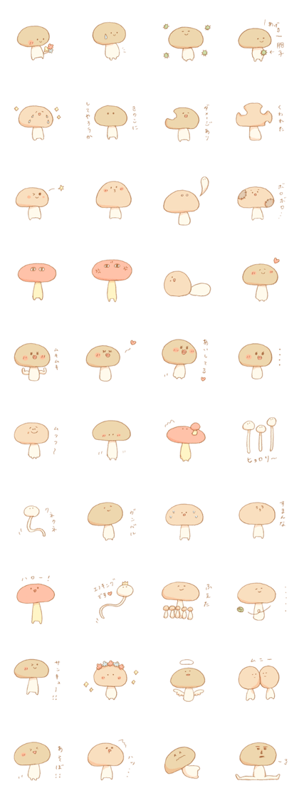 More!! Cute Mushroom!!