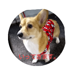 miyo_20200513133313