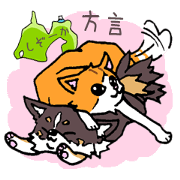 Shizuoka resident Kota & Ell. Shizuoka resident Kota & Ell.