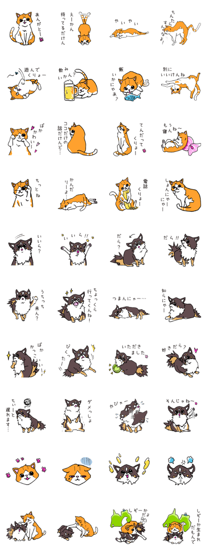 Shizuoka resident Kota & Ell. Shizuoka resident Kota & Ell.