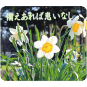 a.pyon_20200513143843