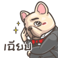 【泰文版】French Bulldog PIGU-Animated Sticker IV