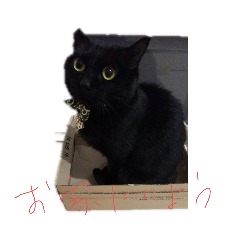 Mayuyu_20200513144557